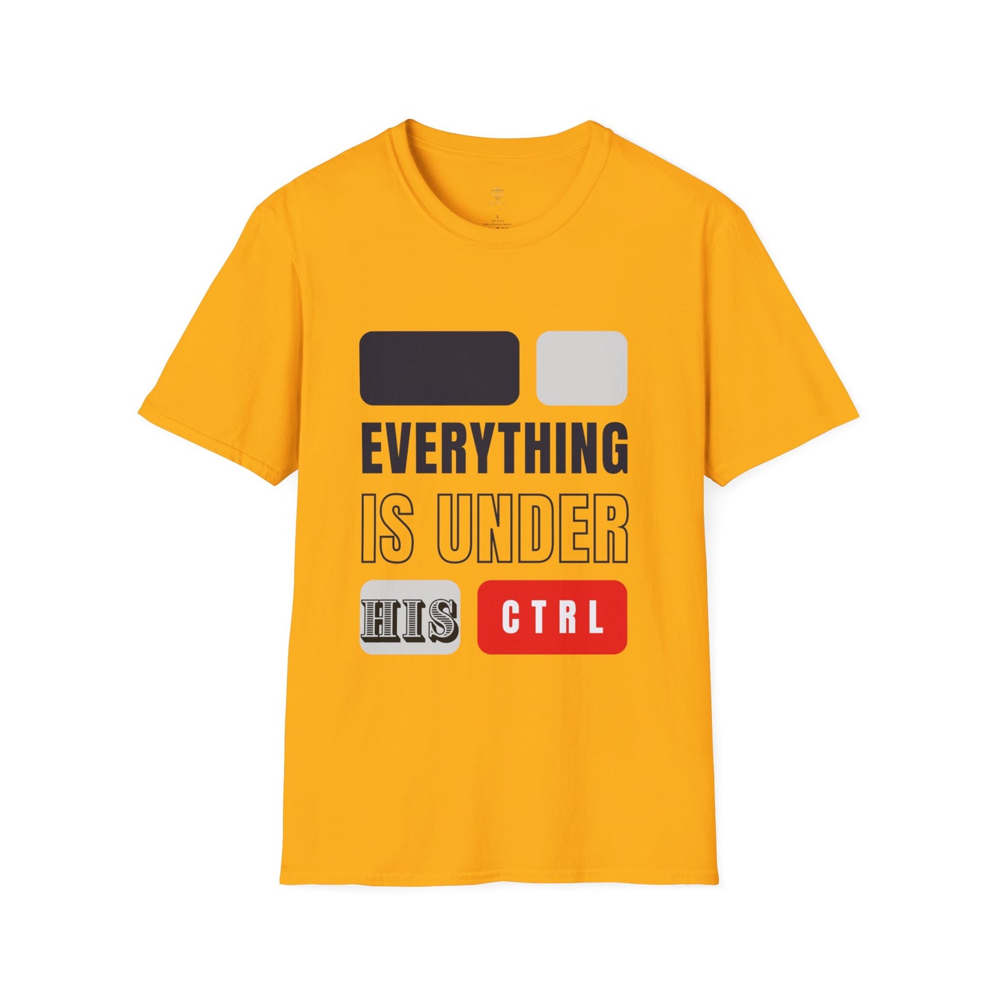 Everything is in HIS Ctrl -Unisex Softstyle T-Shirt