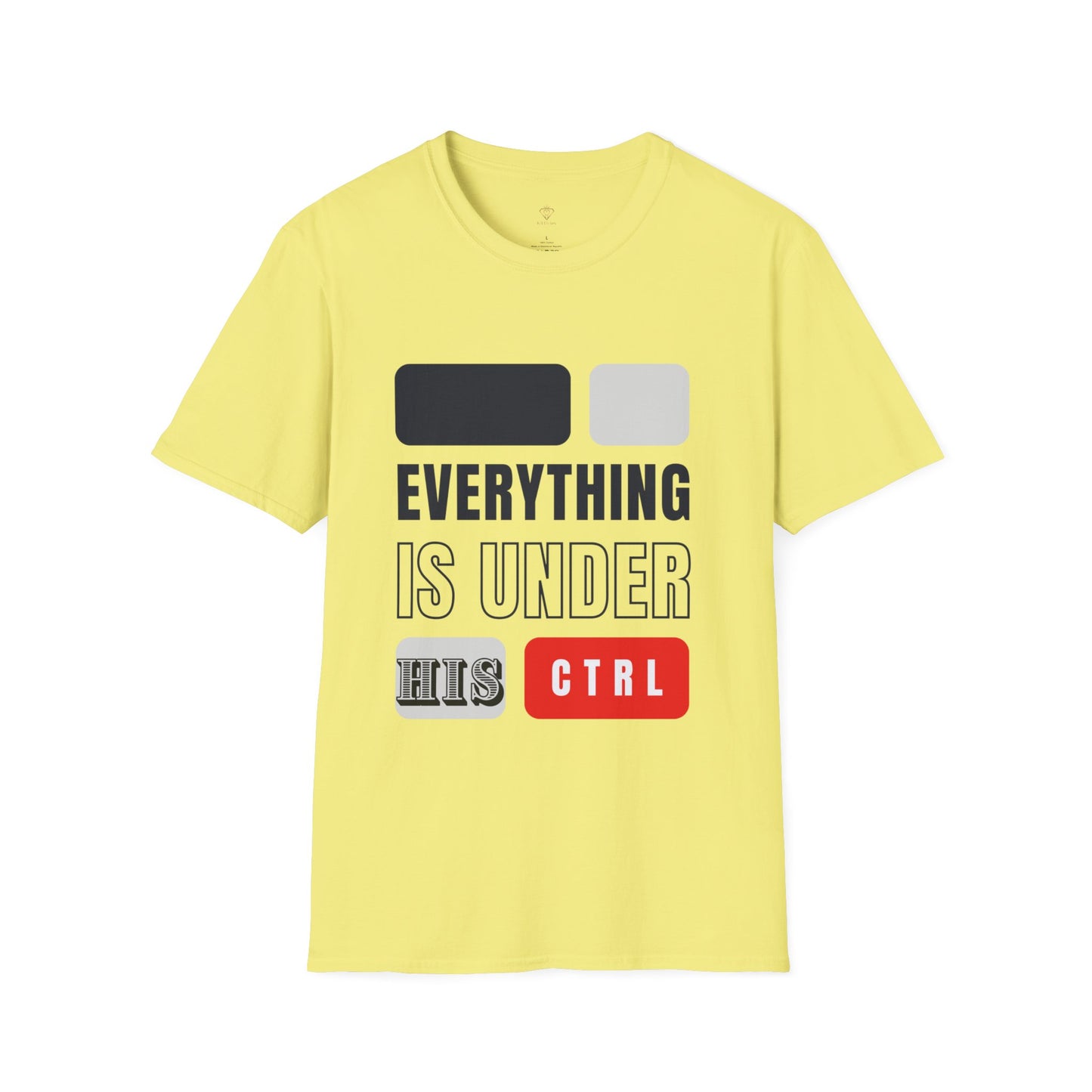 Everything is in HIS Ctrl -Unisex Softstyle T-Shirt