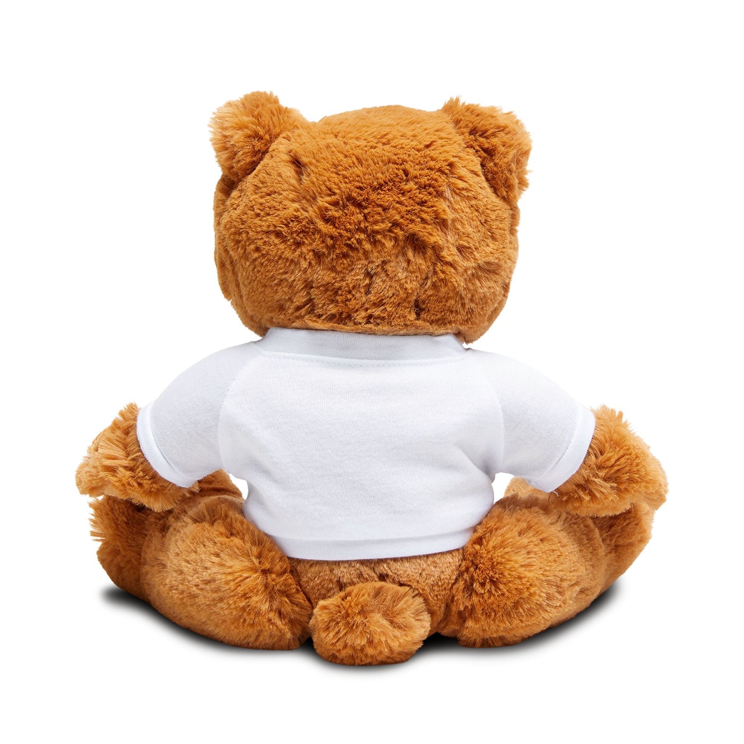 Teddy Bear - God's Favorite Snitch - Tell Everything in Prayer